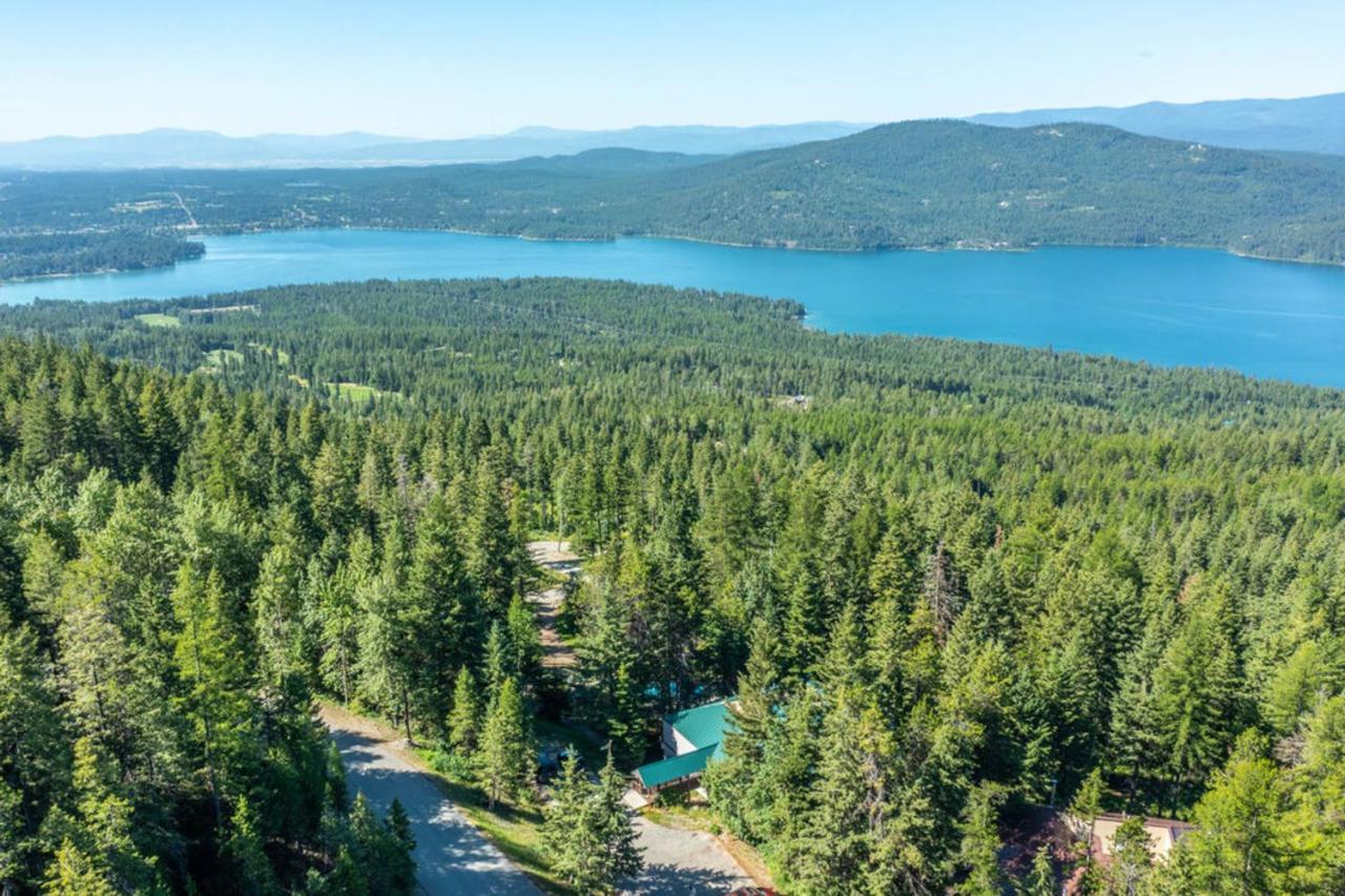 Wooded Dreams * Whitefish