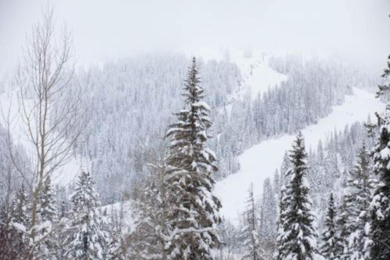 Apartment Wooded Dreams Whitefish